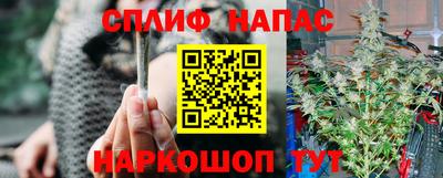 гидра Пыть-Ях