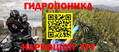 дмт Пушкино