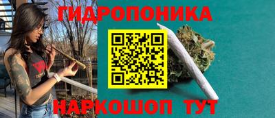 ГАЛЛЮЦИНОГЕННЫЕ ГРИБЫ Пугачёв