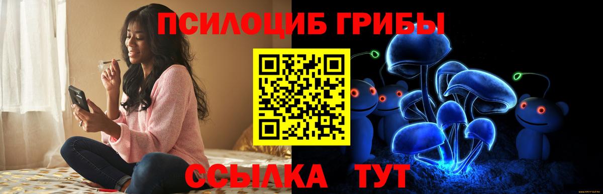 Галлюциногенные грибы Cubensis Сибай